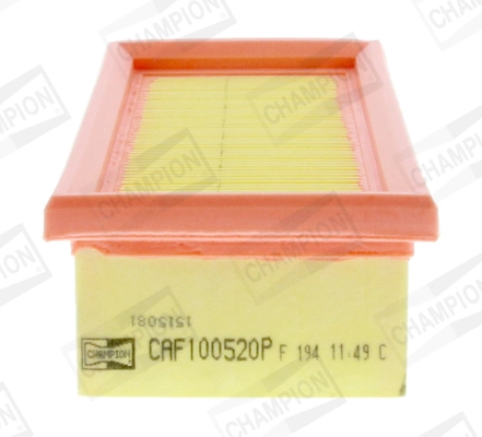 Air Filter CAF100520P