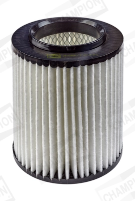 Air Filter CAF100499C