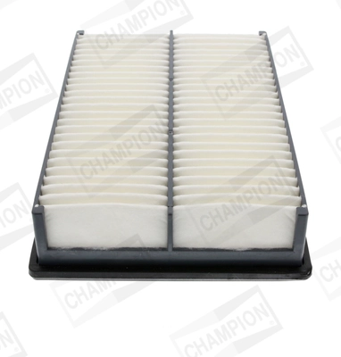 Air Filter CAF100831P