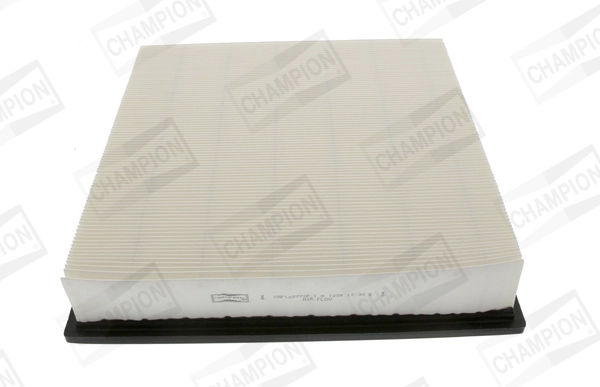 Air Filter CAF100770P