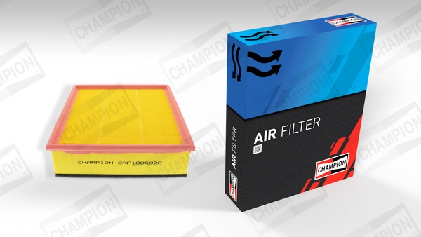 Air Filter CAF100692P