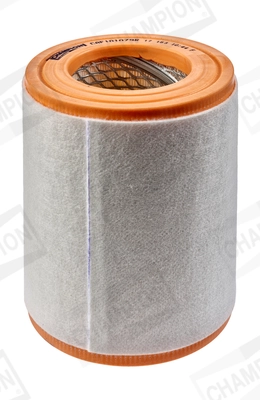 Air Filter CAF101079R
