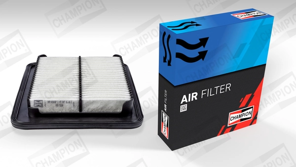 Air Filter CAF100943P