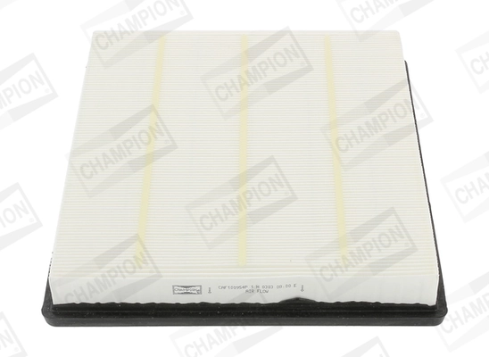 Air Filter CAF100954P