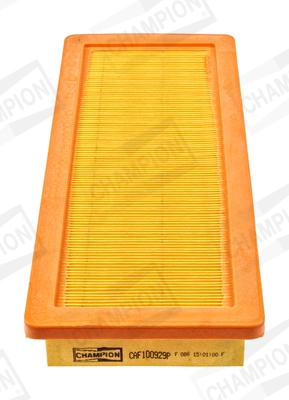 Air Filter CAF100929P