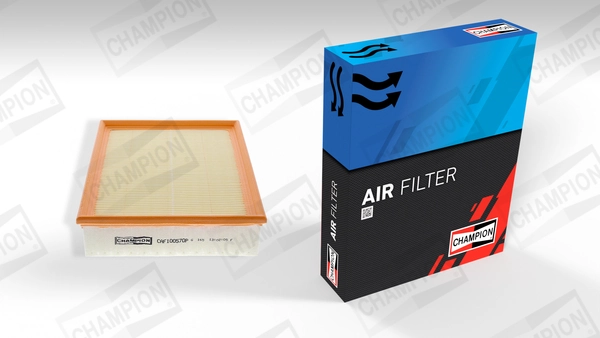 Air Filter CAF100570P