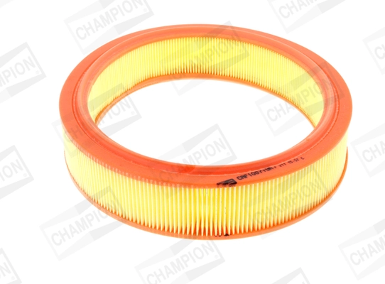 Air Filter CAF100719R