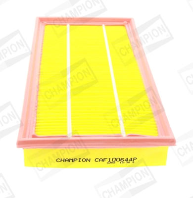 Air Filter CAF100644P