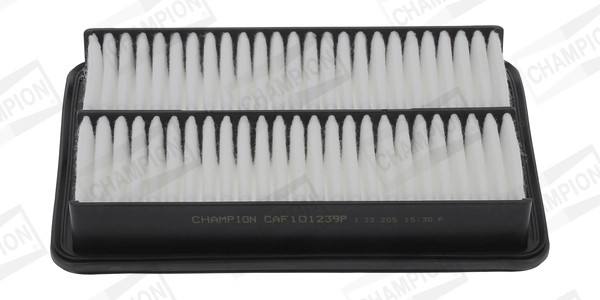 Air Filter CAF101239P