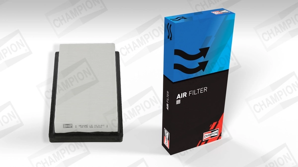 Air Filter CAF101386P