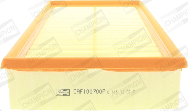Air Filter CAF100700P