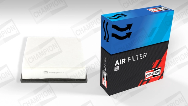 Air Filter CAF100769P