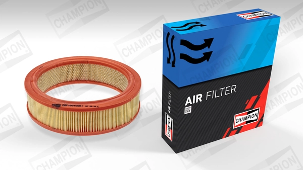 Air Filter CAF100106R