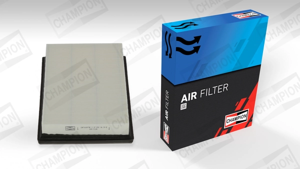 Air Filter CAF100979P