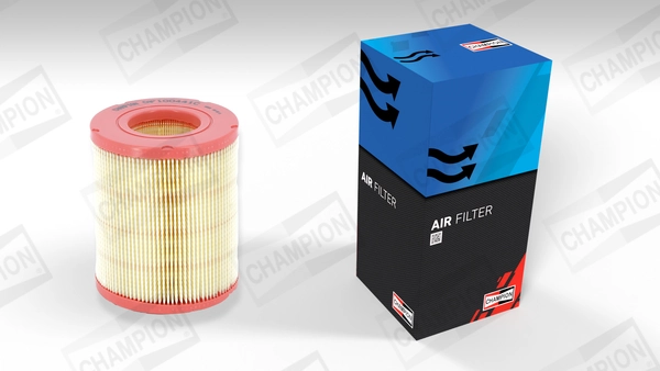 Luftfilter CAF100441C