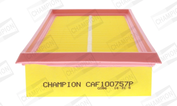 Air Filter CAF100757P