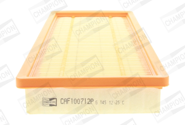 Air Filter CAF100712P