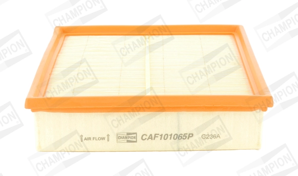 Air Filter CAF101065P