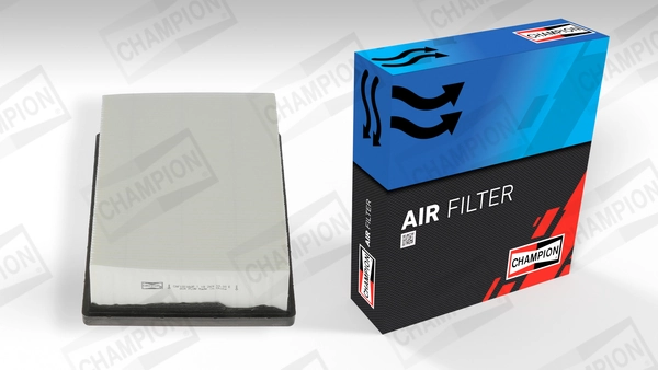 Air Filter CAF101082P