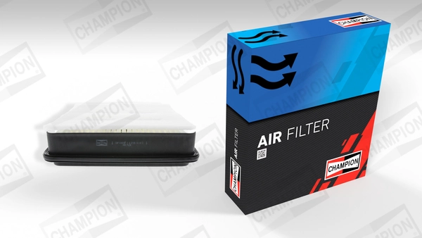 Air Filter CAF100878P