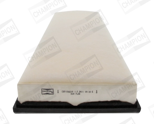 Air Filter CAF100651P