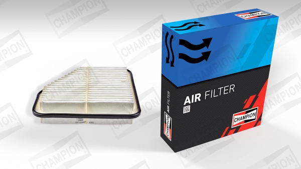 Air Filter CAF100920P