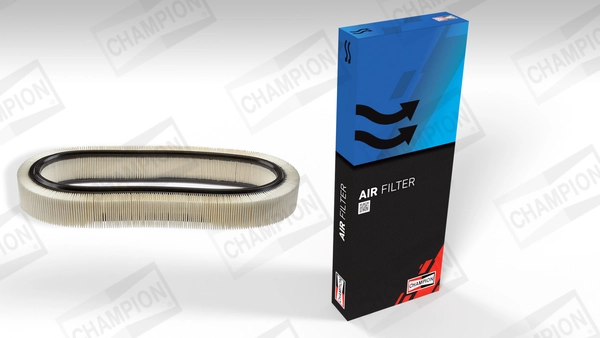 Air Filter CAF100148R