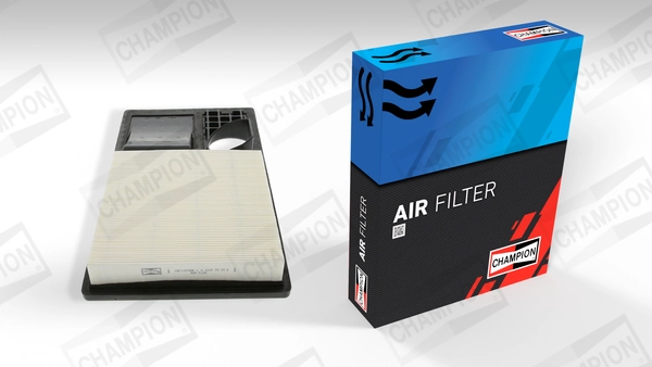 Air Filter CAF100748P