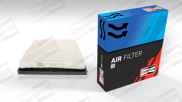Air Filter CAF100671P