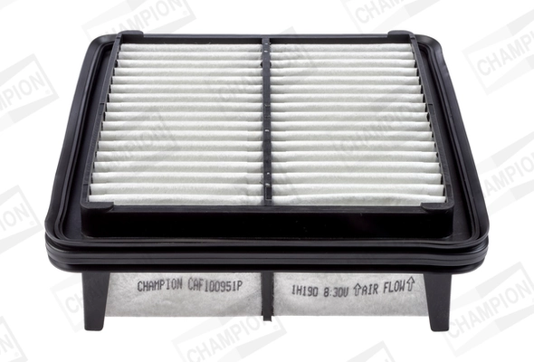 Air Filter CAF100951P