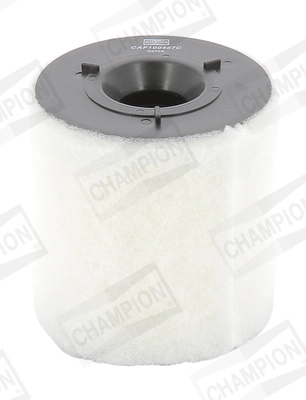 Air Filter CAF100487C