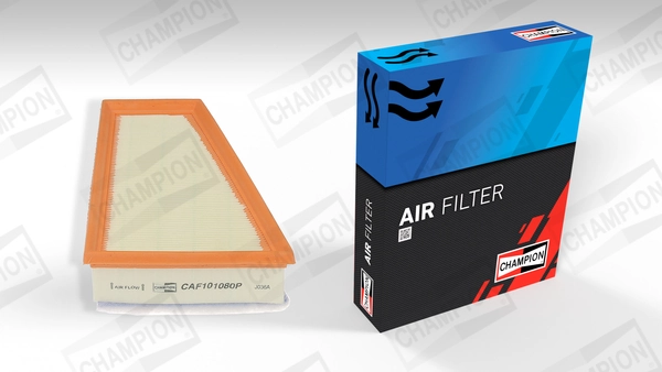 Air Filter CAF101080P