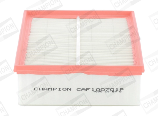 Air Filter CAF100701P