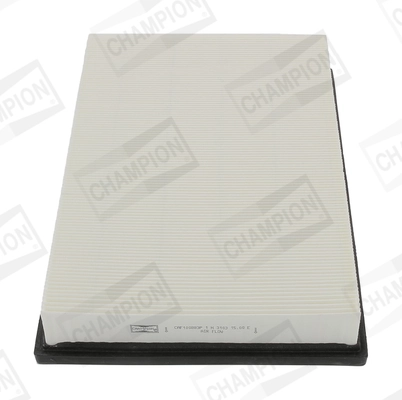 Air Filter CAF100883P
