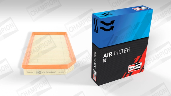 Air Filter CAF100842P