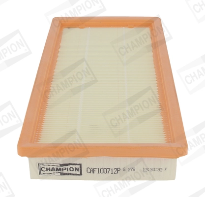 Air Filter CAF100712P