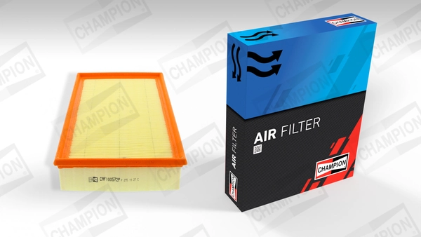 Air Filter CAF100572P