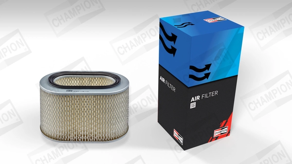 Air Filter CAF100419C