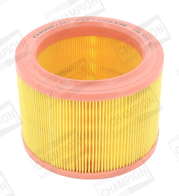 Air Filter CAF100233R