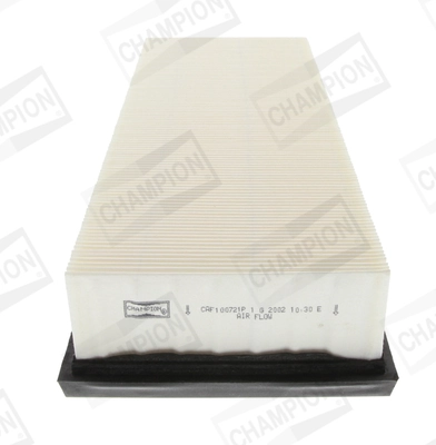 Air Filter CAF100721P