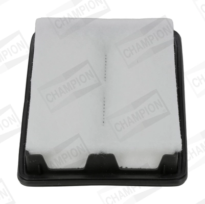 Air Filter CAF101392P