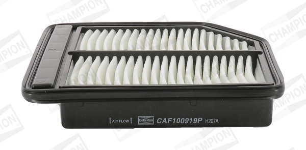 CHAMPION CAF100919P Air Filter