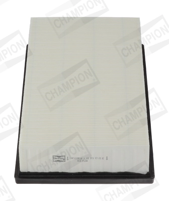 Air Filter CAF100950P