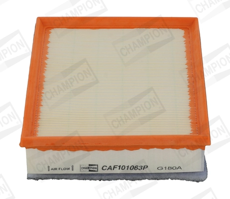 Air Filter CAF101063P