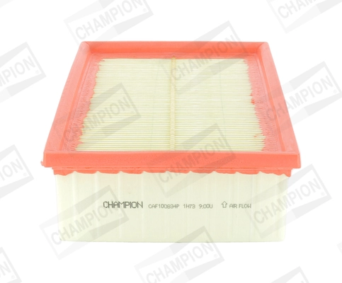 Air Filter CAF100834P