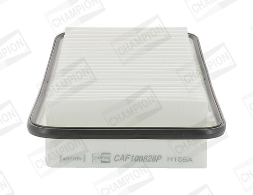 Air Filter CAF100828P