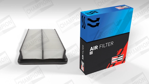 Air Filter CAF100833P