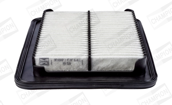Air Filter CAF100943P