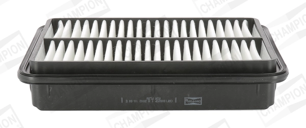 Air Filter CAF100825P