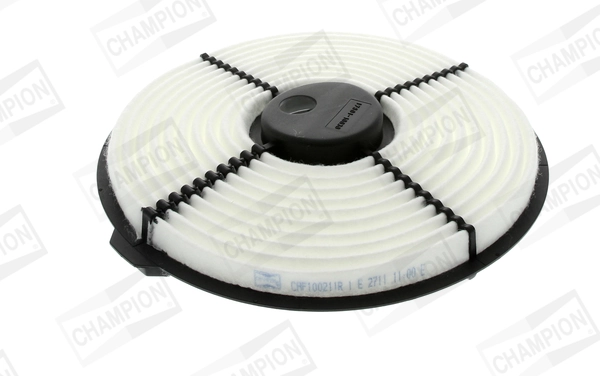 Air Filter CAF100211R